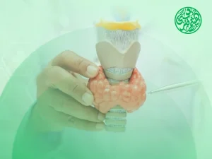 شكل الغدة الدرقية في الرقبة